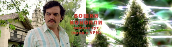 прущие крисы Майский
